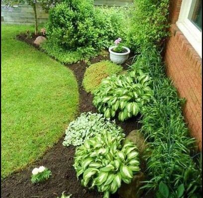 My Home Garden